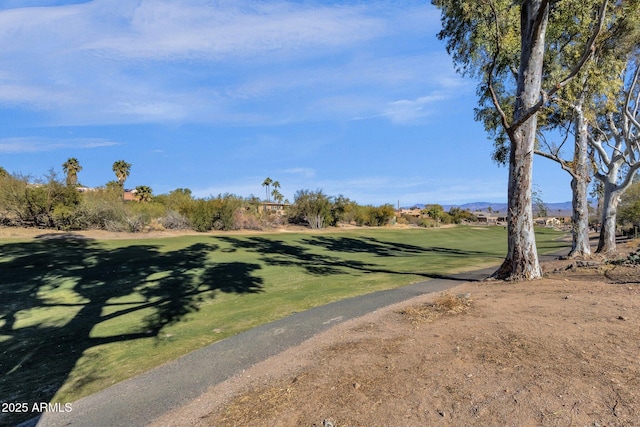 10254 N Demaret Dr, Fountain Hills, AZ 85268 - view of property's community featuring a lawn