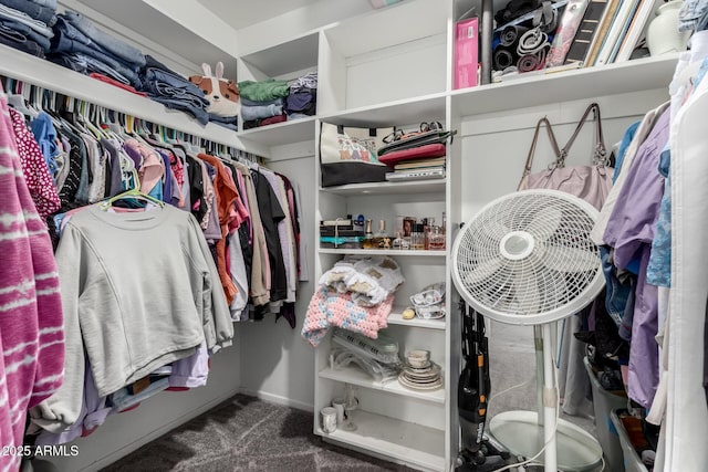 walk in closet with carpet floors