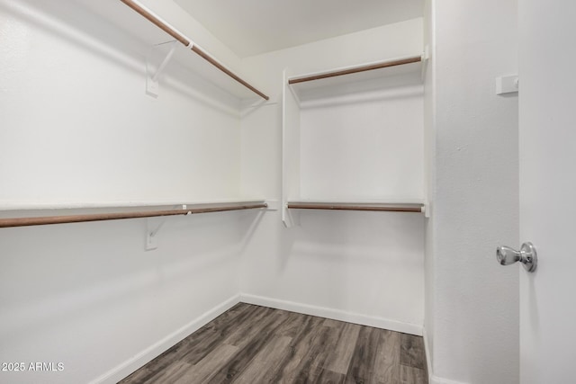 spacious closet featuring dark wood-type flooring