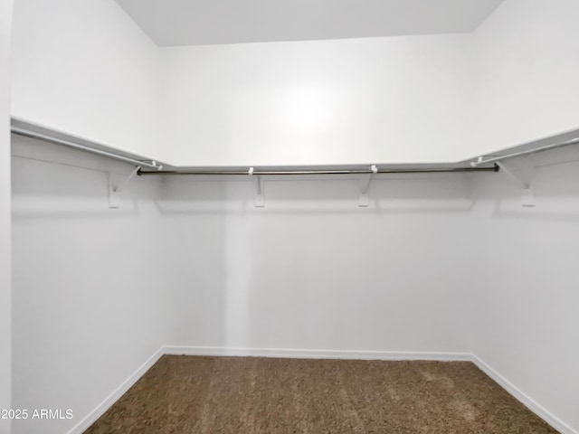 spacious closet featuring carpet flooring