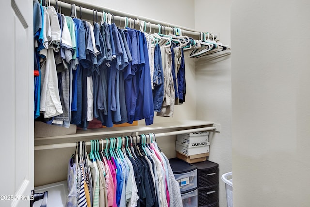 view of walk in closet