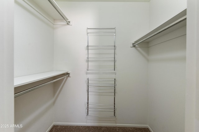 spacious closet featuring carpet floors