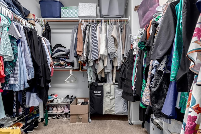 spacious closet featuring carpet