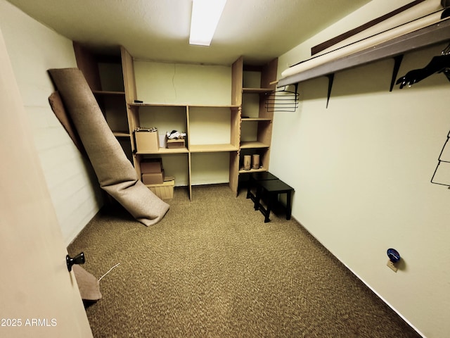 walk in closet with carpet floors