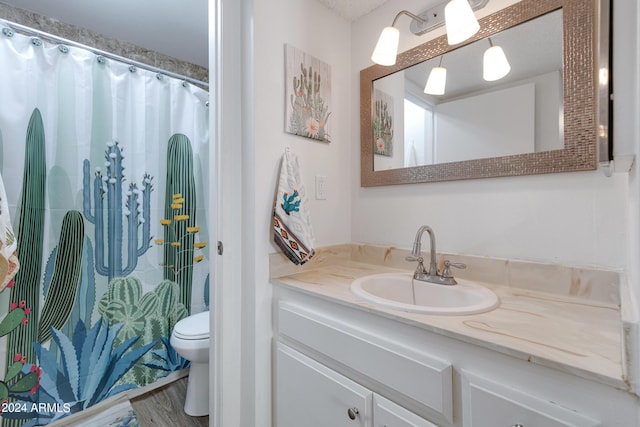bathroom featuring a shower with shower curtain, toilet, wood finished floors, and vanity