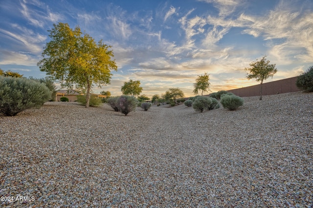 view of yard at dusk