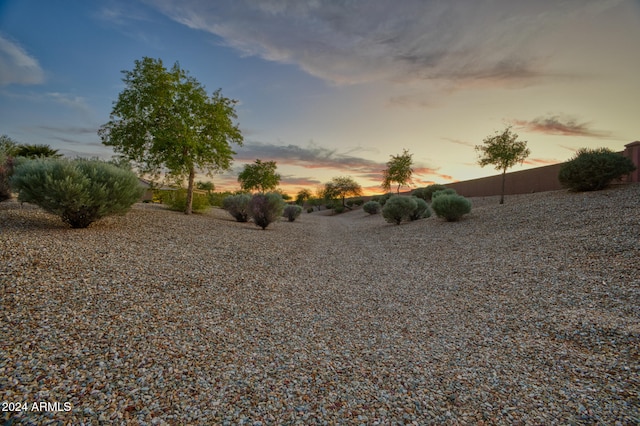 view of yard at dusk