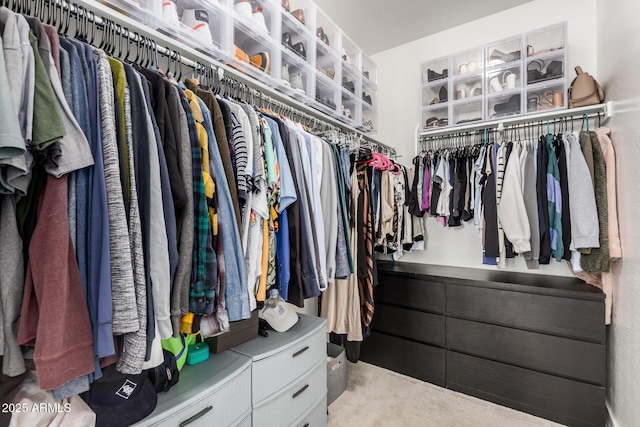 walk in closet with carpet flooring