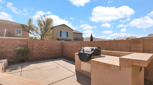 view of patio featuring exterior kitchen and a fenced backyard
