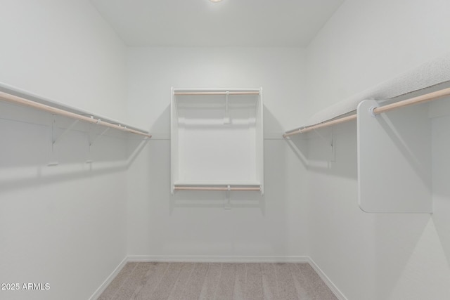 walk in closet with light colored carpet