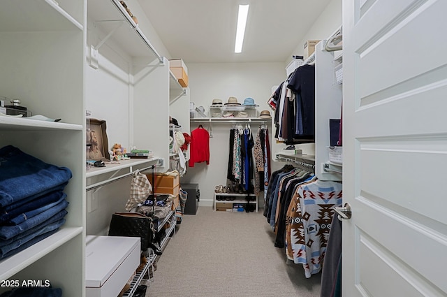 spacious closet with carpet flooring