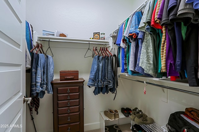 view of walk in closet