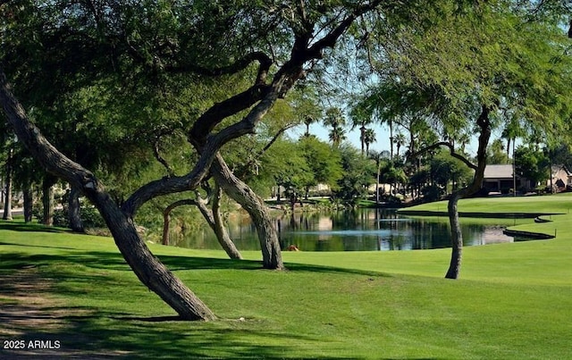 surrounding community with a water view and a lawn