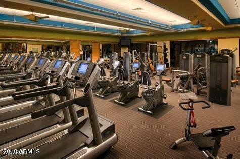 gym featuring carpet flooring