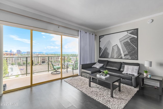 living area with a view of city, ornamental molding, and wood finished floors