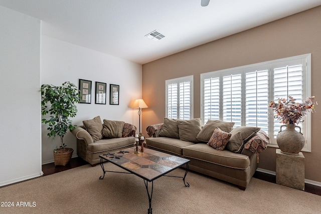 living room with wood-type flooring