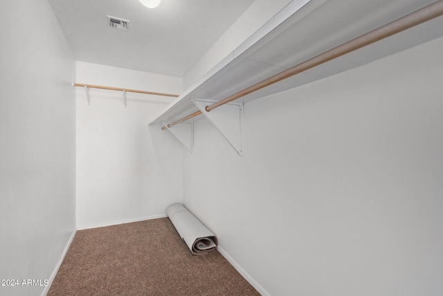 walk in closet with carpet and visible vents