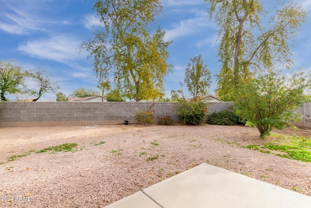 view of yard with a patio and a fenced backyard