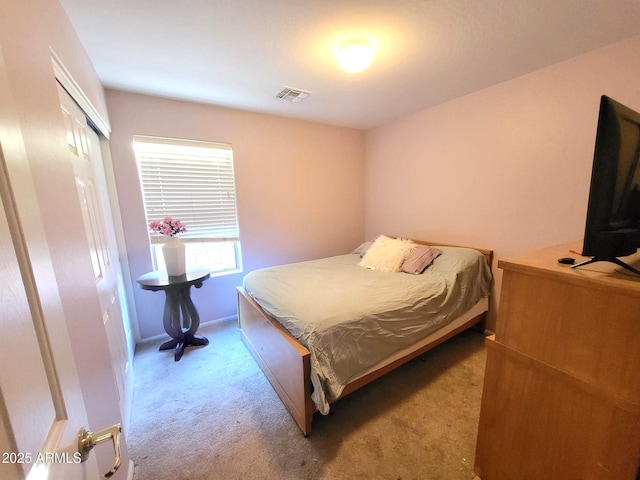 17257 W Papago St, Goodyear, AZ 85338 - bedroom with carpet floors and a closet
