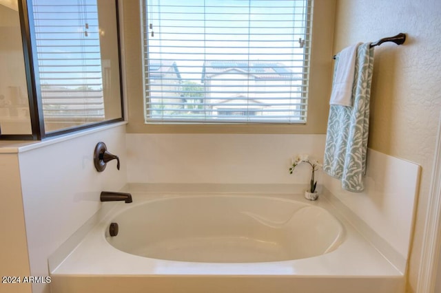 bathroom featuring a washtub