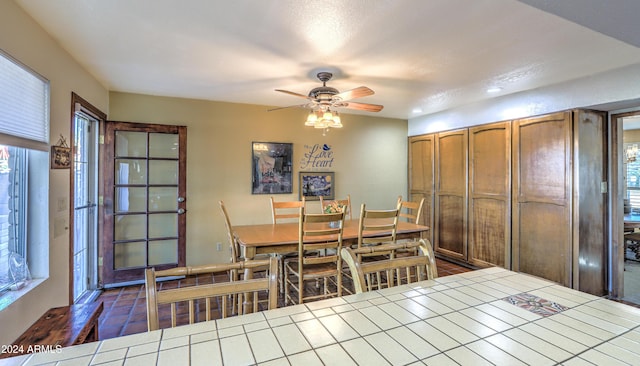 dining space featuring ceiling fan and a healthy amount of sunlight