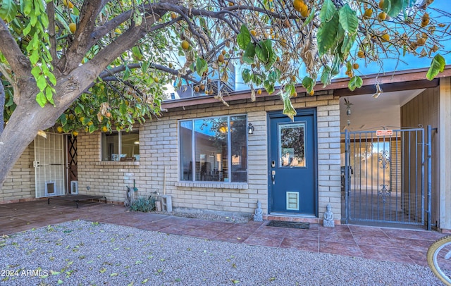 doorway to property featuring a patio