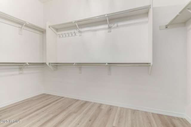 walk in closet featuring wood finished floors
