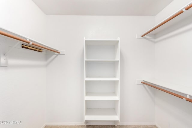 spacious closet with carpet