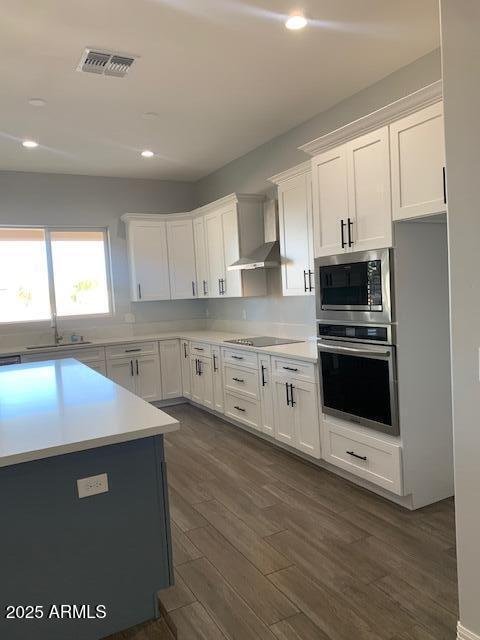 2319 N 192nd Ave, Buckeye, AZ 85396 - kitchen featuring a sink, wall chimney exhaust hood, appliances with stainless steel finishes, visible vents, and dark wood-style flooring