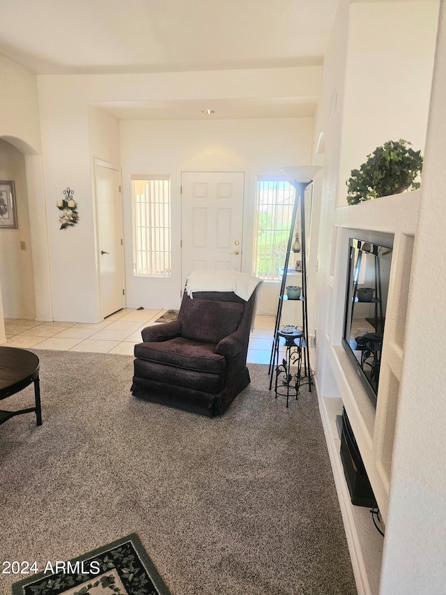 living room featuring a healthy amount of sunlight and light carpet