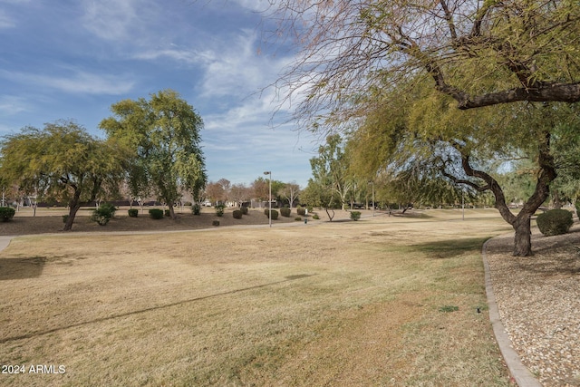 view of community featuring a yard