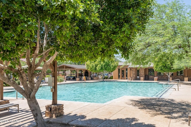 view of pool featuring a patio