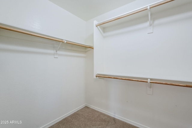 43205 W Oster Dr, Maricopa, AZ 85138 - walk in closet with carpet floors