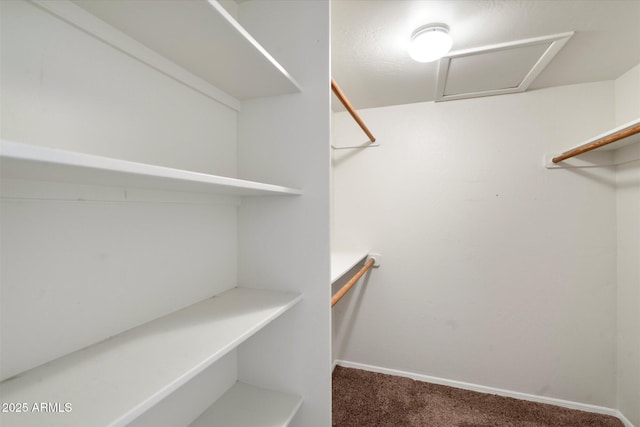 walk in closet with carpet