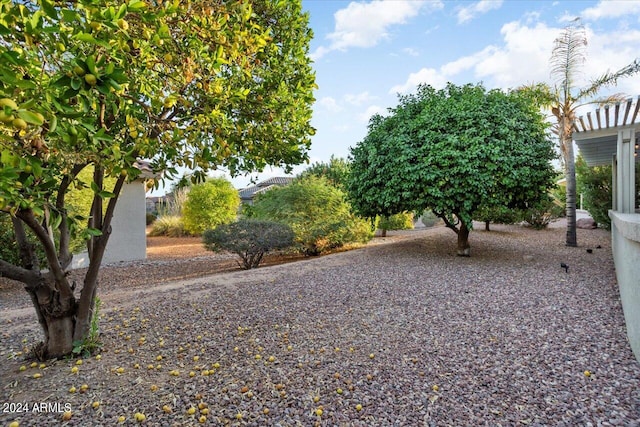 view of yard featuring a pergola