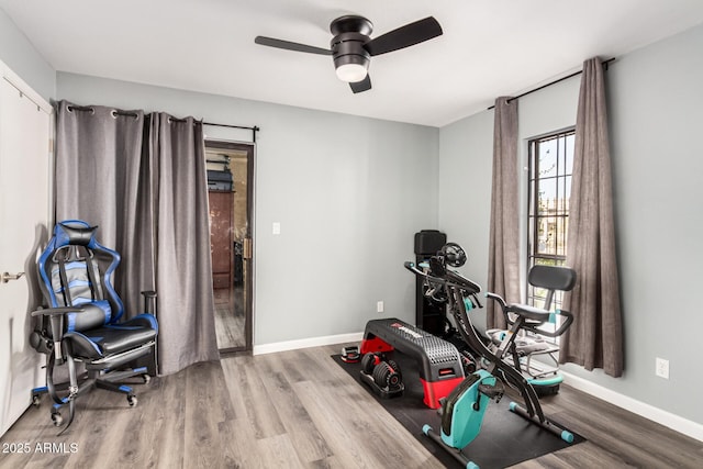 exercise room with ceiling fan, baseboards, and wood finished floors