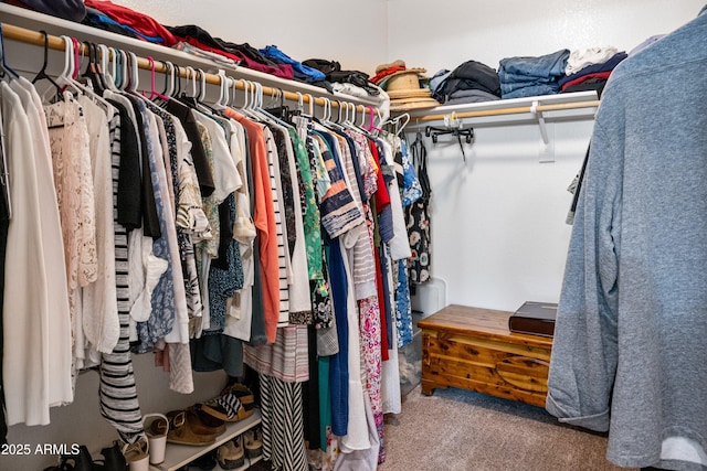 907 E Kelsi Ave, San Tan Valley, AZ 85140 - walk in closet featuring carpet flooring