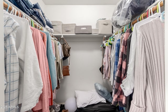 view of walk in closet