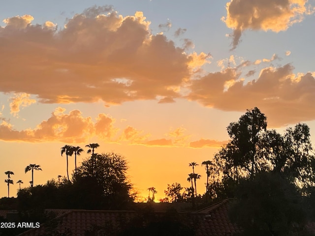 8700 E Mountain View Rd Unit 2029, Scottsdale, AZ 85258 - view of nature at dusk