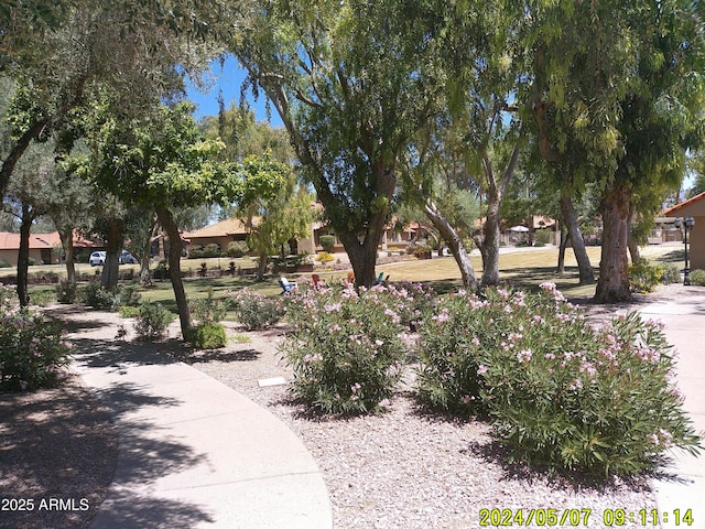 8700 E Mountain View Rd Unit 2029, Scottsdale, AZ 85258 - view of surrounding community