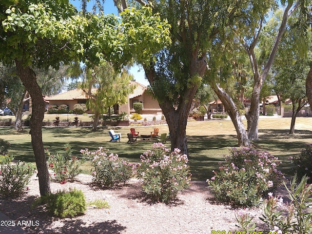 8700 E Mountain View Rd Unit 2029, Scottsdale, AZ 85258 - view of community featuring a lawn