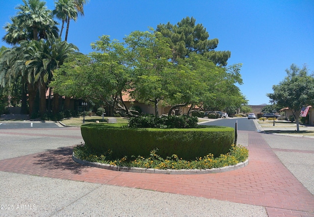 8700 E Mountain View Rd Unit 2029, Scottsdale, AZ 85258 - view of surrounding community