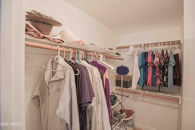 view of spacious closet