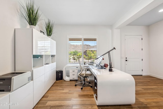 office featuring light wood finished floors