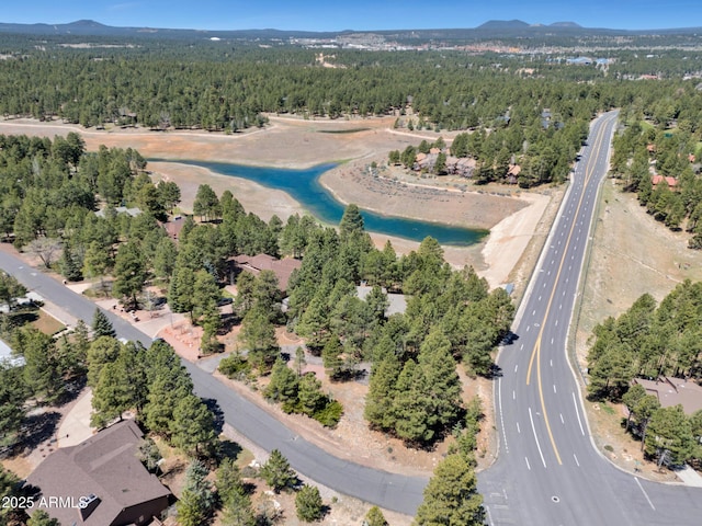 951 N Sky View St, Flagstaff, AZ 86004 - aerial view of property and surrounding area with a heavily wooded area and a mountain backdrop