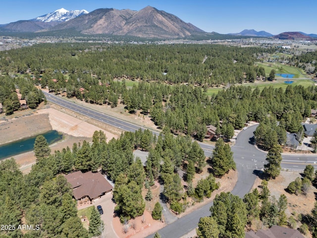 951 N Sky View St, Flagstaff, AZ 86004 - aerial overview of property's location with a forest and a water and mountain view