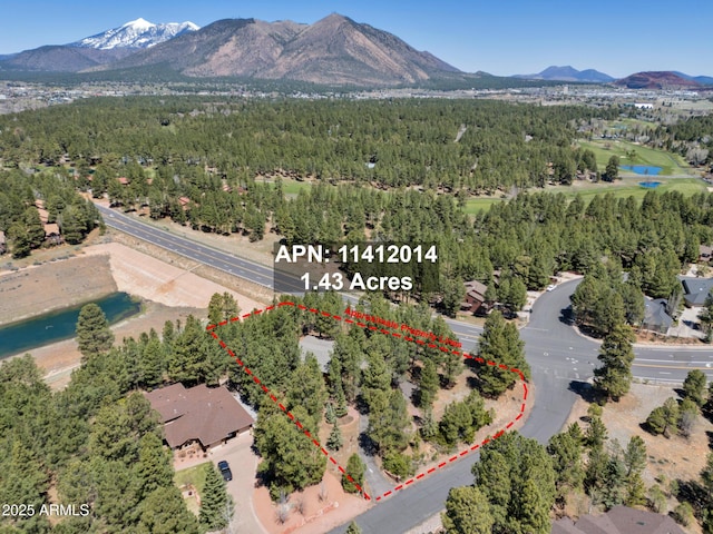 951 N Sky View St, Flagstaff, AZ 86004 - aerial view of property's location with property boundaries highlighted, a forest, and a water and mountain view
