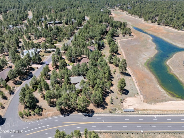 951 N Sky View St, Flagstaff, AZ 86004 - aerial view of property's location with a forest and a nearby body of water