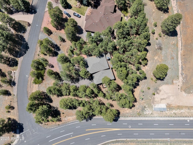 951 N Sky View St, Flagstaff, AZ 86004 - drone / aerial view