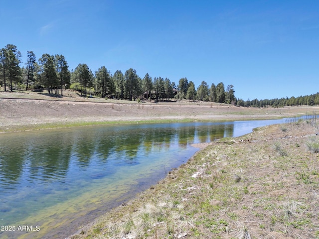 951 N Sky View St, Flagstaff, AZ 86004 - water view